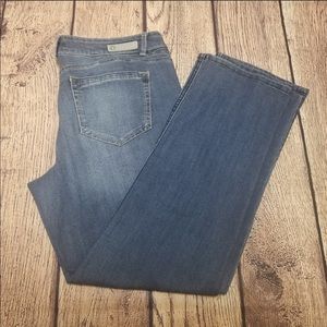 Democracy Patriot Straight Leg jeans size 14 Plus